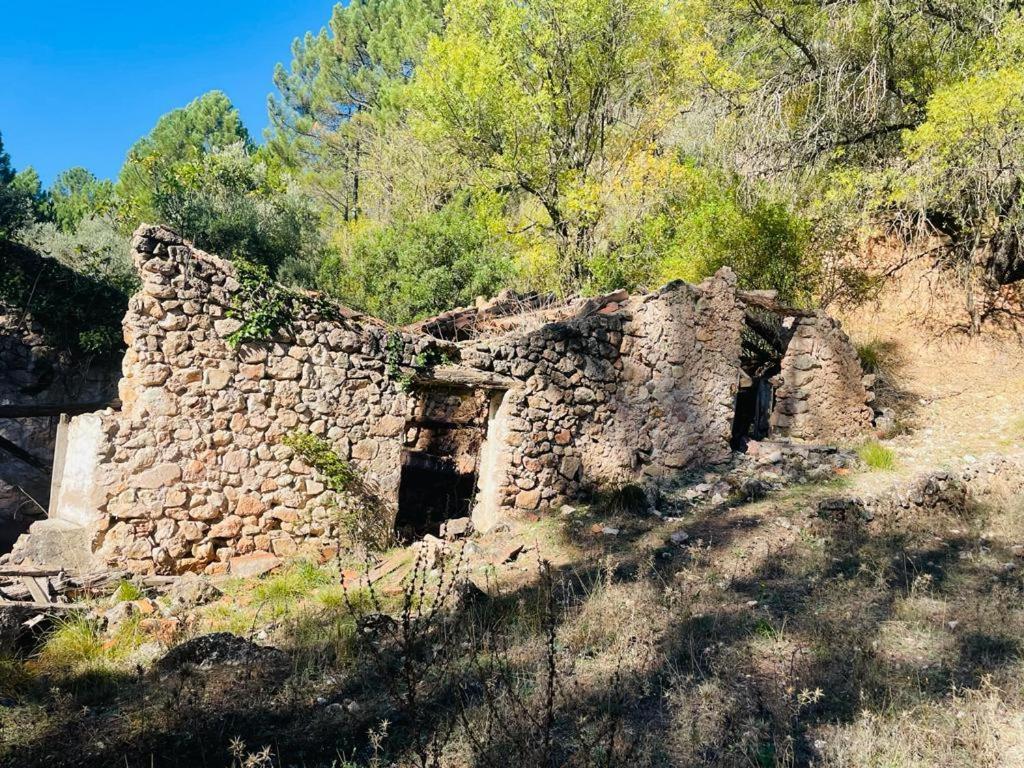 Molinicos El Quejigoヴィラ エクステリア 写真
